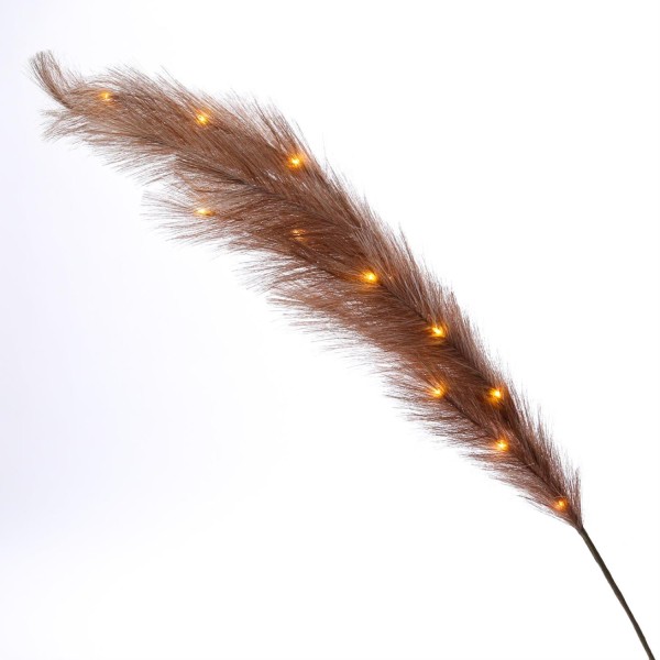 LED Zweig Federbüschel - Pampasgras - 15 warmweiße LED - H: 118cm - Timer - für Innen - braun