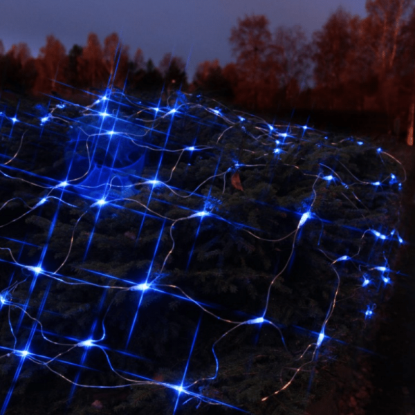 LED-Lichternetz | Serie LED | Outdoor | Transparentes Kabel | blaue LED | 1.00m x 2.00m | 90x LEDs