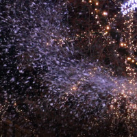 Vorschau: Schneefluid, 5l - Schneefluid für Kunstschnee - gebrauchsfertig Vorschau: Schneefluid, 5l - Schneefluid für Kunstschnee - gebrauchsfertig