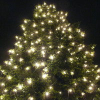 Vorschau: Illu-/Partylichterkette 20m - Außenlichterkette grün - Made in Germany- 30 kaltweiße LED-Kugellampen Vorschau: Illu-/Partylichterkette 20m - Außenlichterkette grün - Made in Germany- 30 kaltweiße LED-Kugellampen