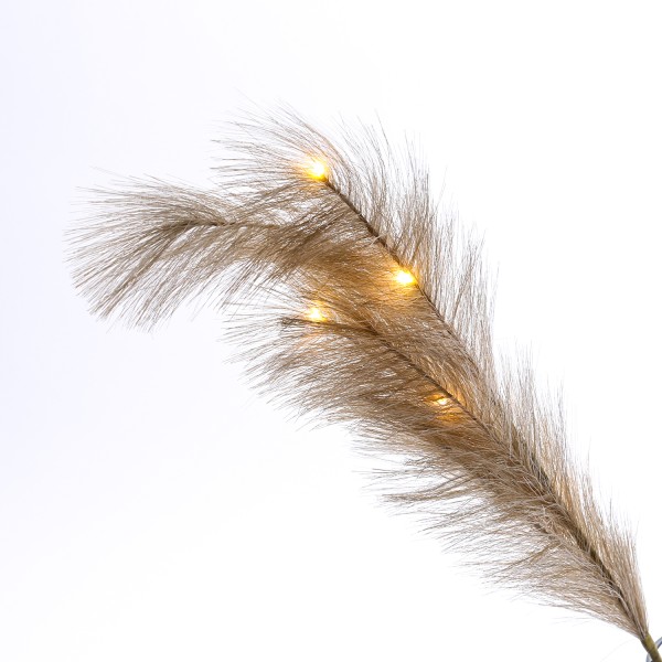 LED Zweig Federbüschel - Pampasgras - 6 warmweiße LED - H: 70cm - Timer - für Innen - khaki