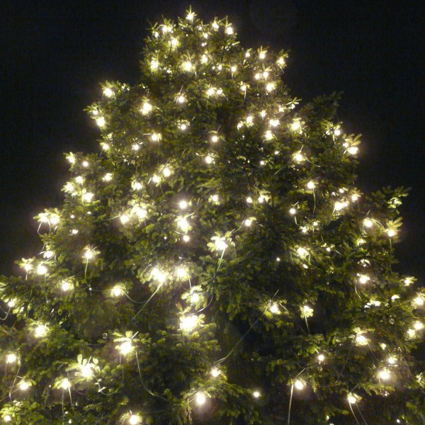 Illu-/Partylichterkette 20m - Außenlichterkette grün - Made in Germany- 30 kaltweiße LED-Kugellampen